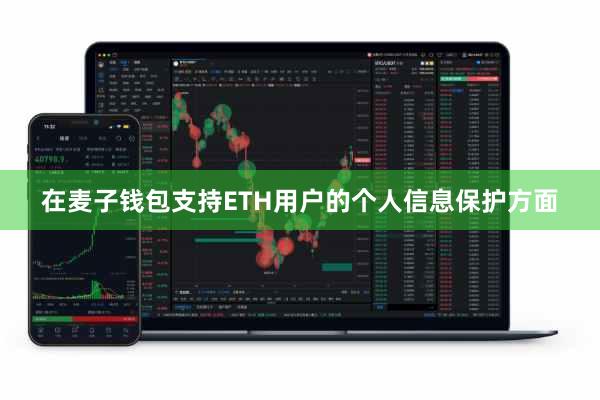 在麦子钱包支持ETH用户的个人信息保护方面