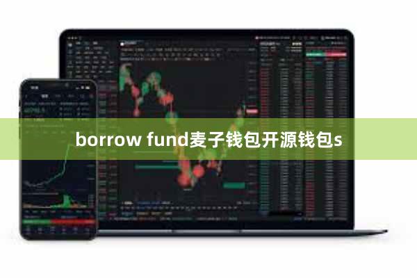 borrow fund麦子钱包开源钱包s