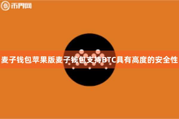 麦子钱包苹果版麦子钱包支持BTC具有高度的安全性