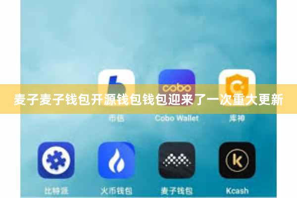 麦子麦子钱包开源钱包钱包迎来了一次重大更新