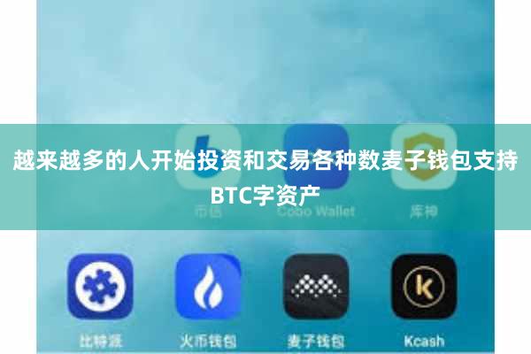 越来越多的人开始投资和交易各种数麦子钱包支持BTC字资产