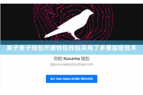 麦子麦子钱包开源钱包钱包采用了多重加密技术