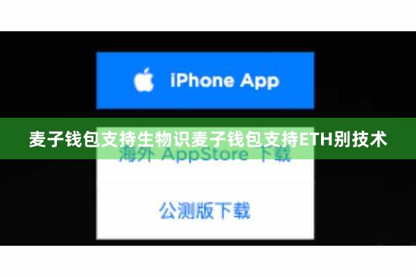 麦子钱包支持生物识麦子钱包支持ETH别技术