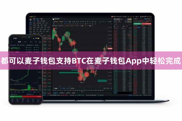 都可以麦子钱包支持BTC在麦子钱包App中轻松完成