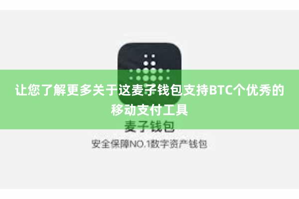 让您了解更多关于这麦子钱包支持BTC个优秀的移动支付工具