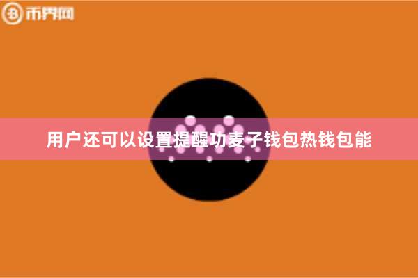 用户还可以设置提醒功麦子钱包热钱包能