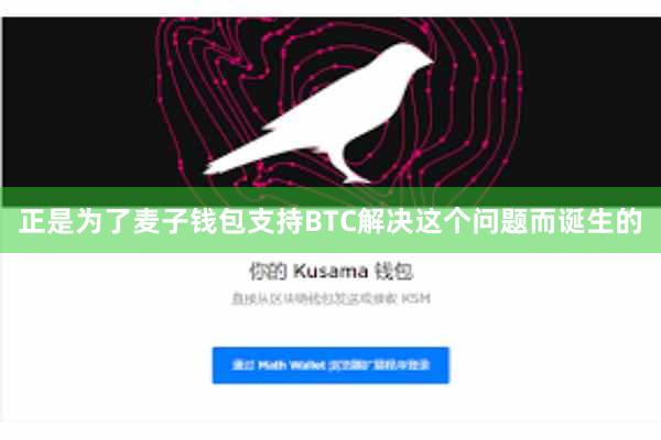正是为了麦子钱包支持BTC解决这个问题而诞生的