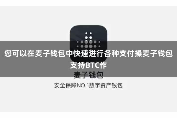 您可以在麦子钱包中快速进行各种支付操麦子钱包支持BTC作