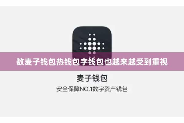 数麦子钱包热钱包字钱包也越来越受到重视