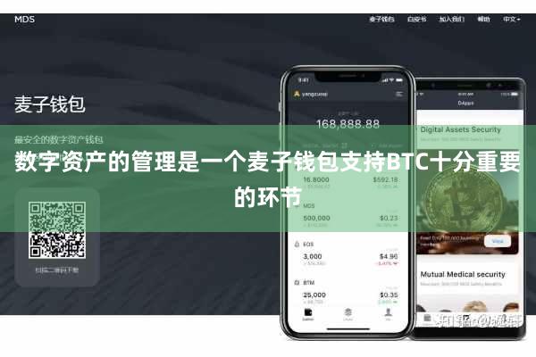 数字资产的管理是一个麦子钱包支持BTC十分重要的环节