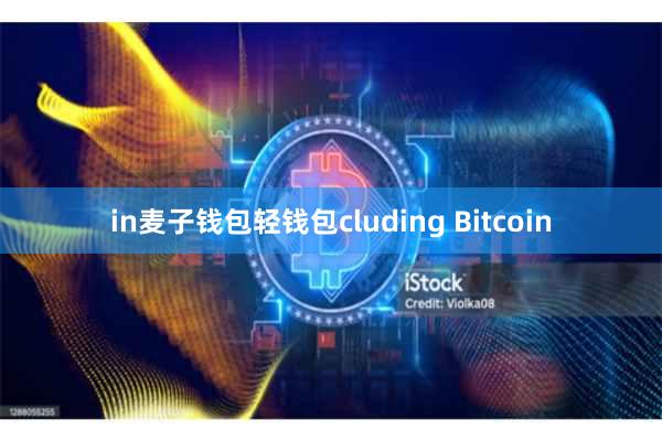 in麦子钱包轻钱包cluding Bitcoin