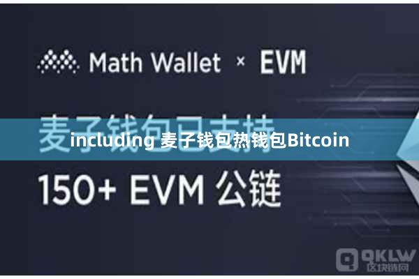 including 麦子钱包热钱包Bitcoin
