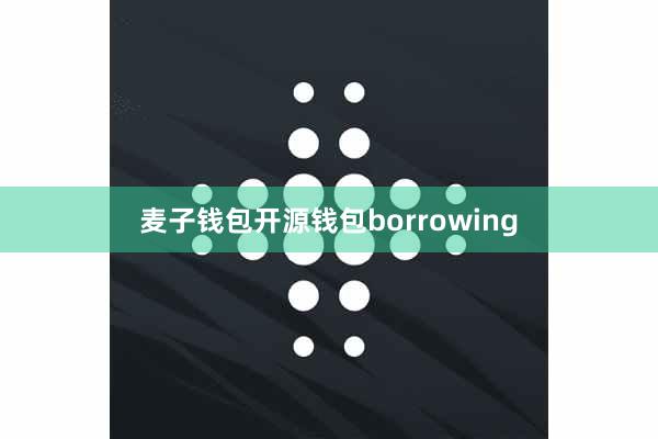 麦子钱包开源钱包borrowing