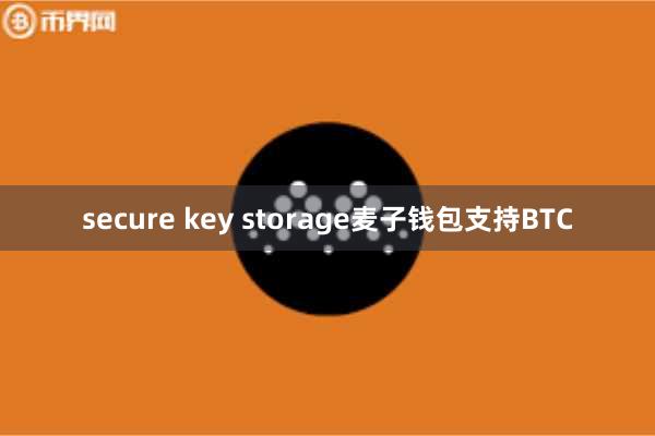 secure key storage麦子钱包支持BTC
