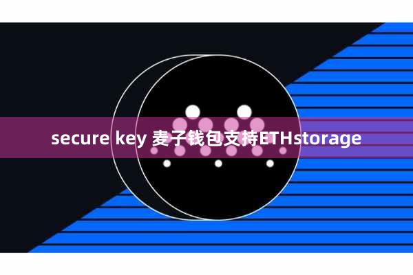secure key 麦子钱包支持ETHstorage