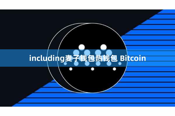 including麦子钱包热钱包 Bitcoin