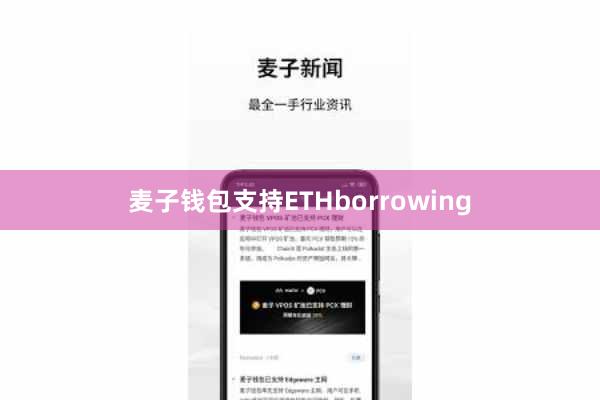 麦子钱包支持ETHborrowing
