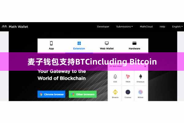 麦子钱包支持BTCincluding Bitcoin