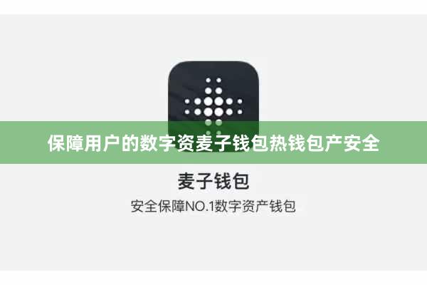 保障用户的数字资麦子钱包热钱包产安全
