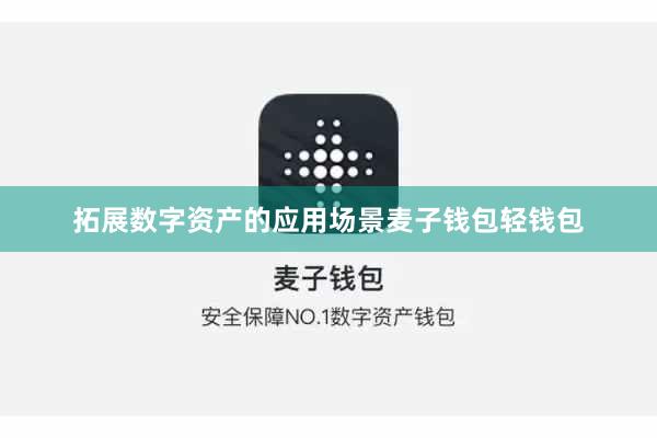 拓展数字资产的应用场景麦子钱包轻钱包