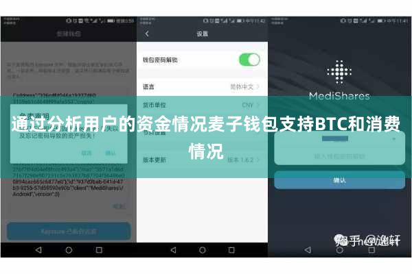 通过分析用户的资金情况麦子钱包支持BTC和消费情况