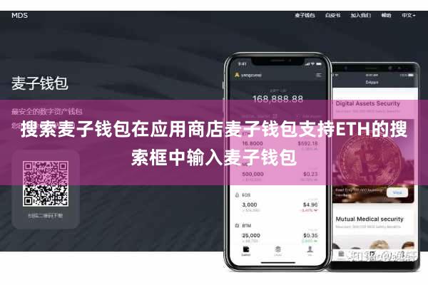 搜索麦子钱包在应用商店麦子钱包支持ETH的搜索框中输入麦子钱包