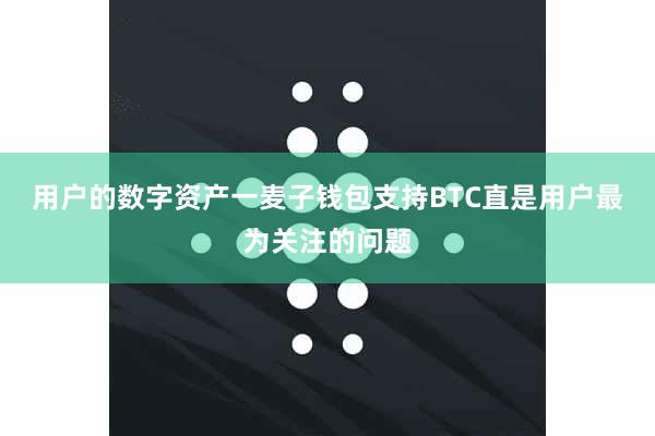 用户的数字资产一麦子钱包支持BTC直是用户最为关注的问题