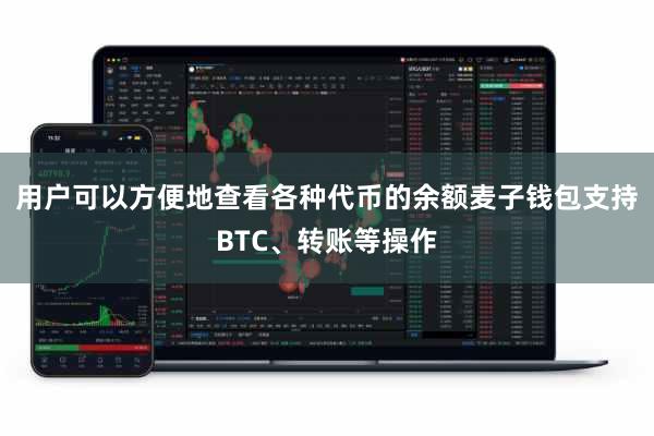 用户可以方便地查看各种代币的余额麦子钱包支持BTC、转账等操作