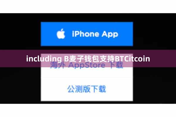 including B麦子钱包支持BTCitcoin