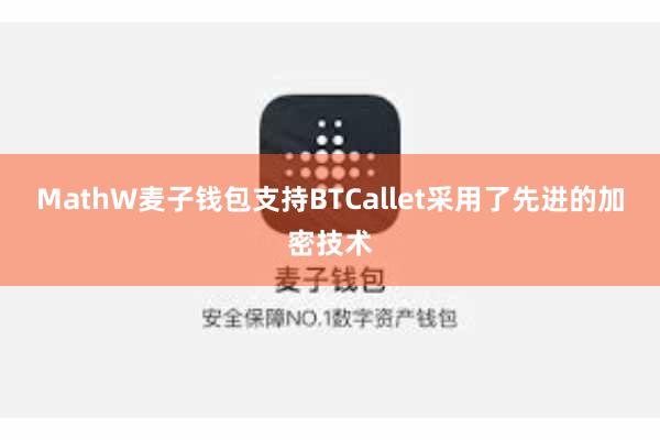 MathW麦子钱包支持BTCallet采用了先进的加密技术